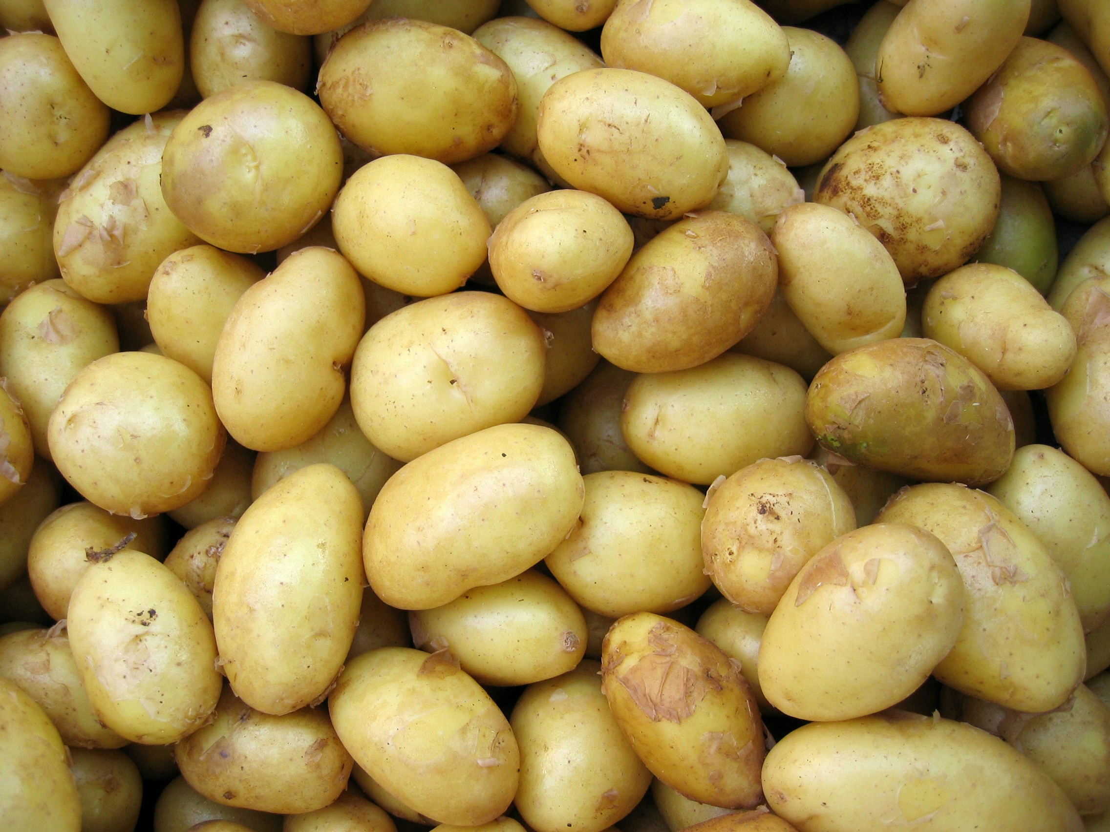 At Home with Angela Gray - Angela Gray recipes, potatoes